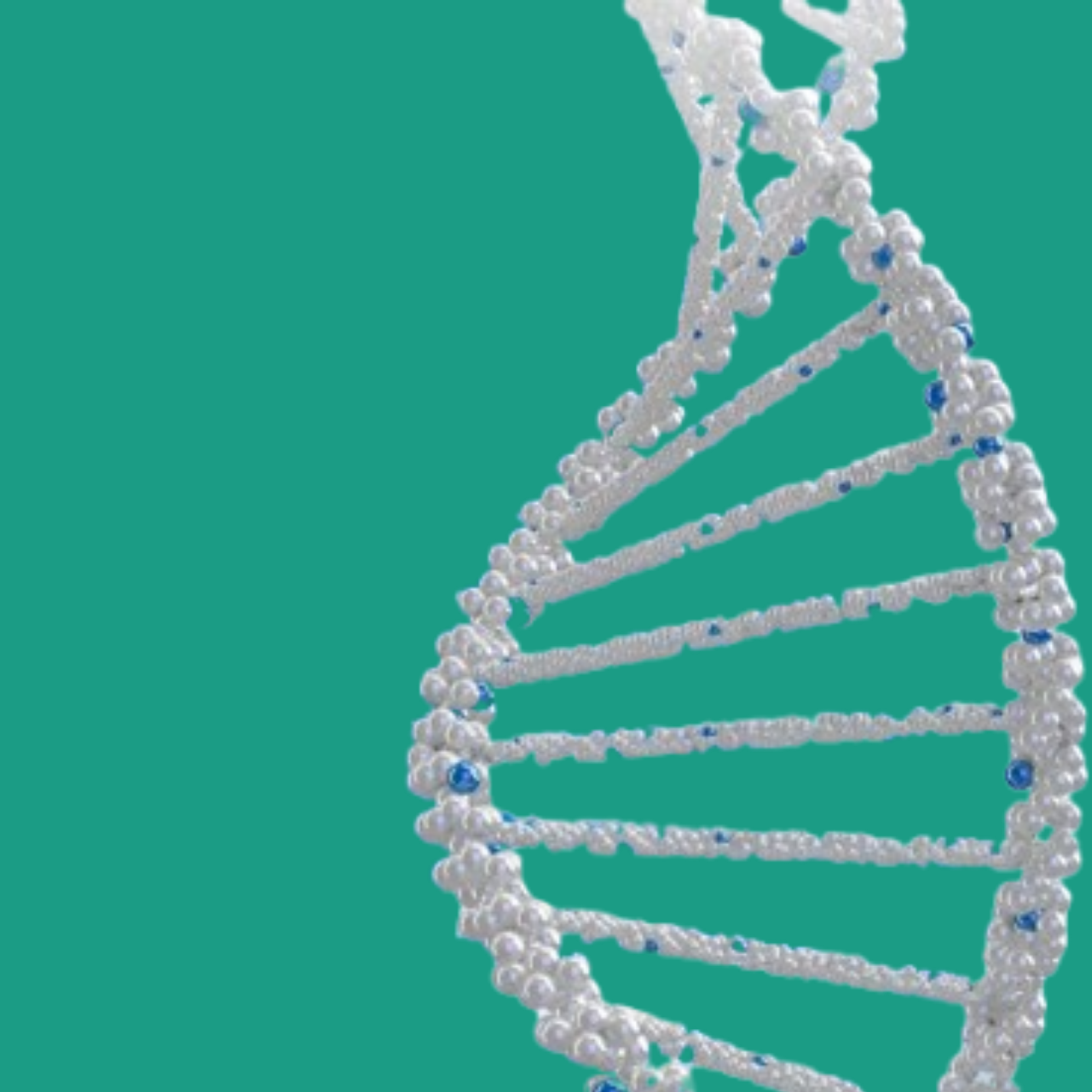 autologous bone marrow transplant main bg